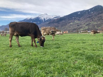 Ostschweiz: die 100kg-Grenze geknackt