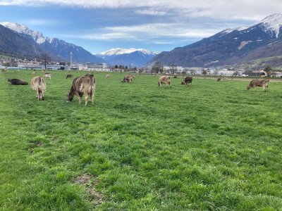 Gesucht: Regen im Rheintal