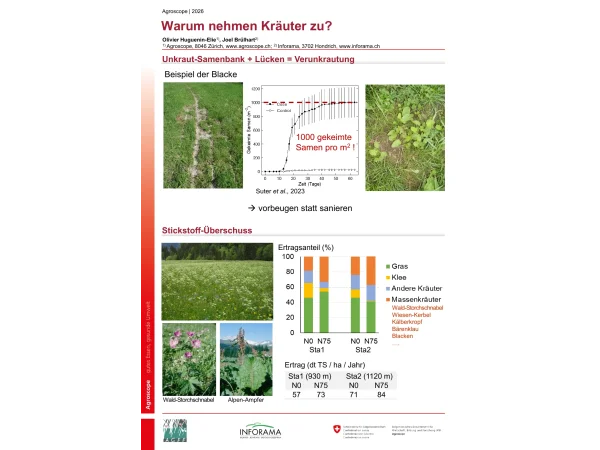 Poste 2: Verkrautung (allemand)