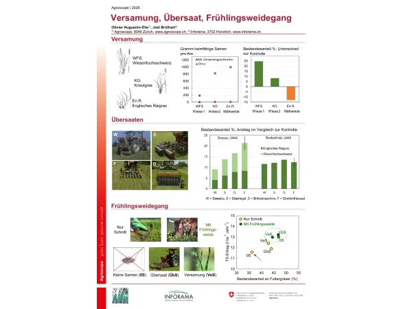 Poste 2: Versamung (allemand)