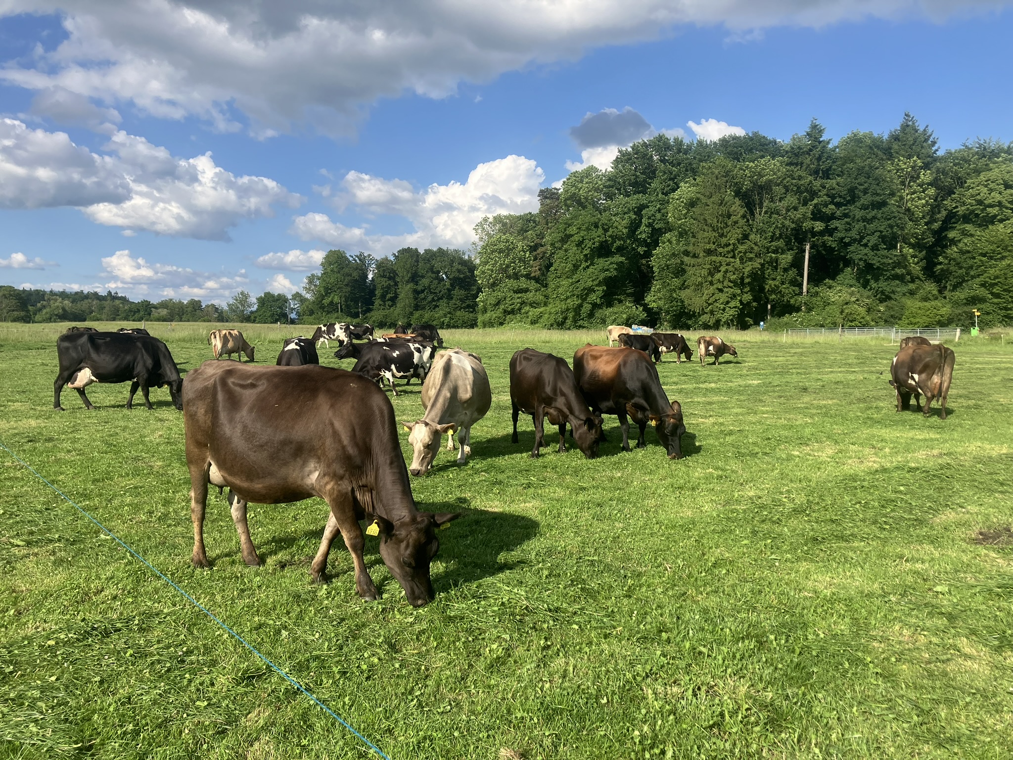 Woche 22 (26.05.-01.06.2025)
