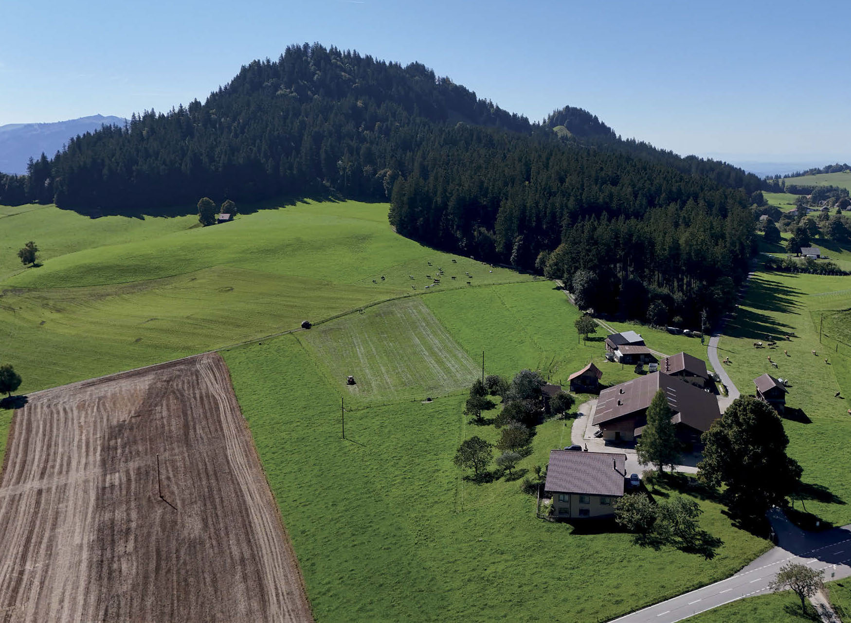 AGFF-Frühjahrstagung Riffenmatt 13. Mai 2026