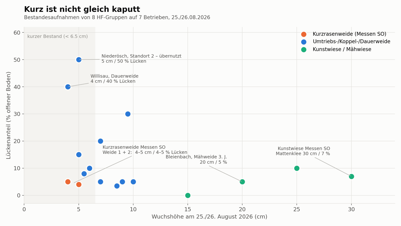 Wuchshöhe und Lückenanteil, 18 Bestände vom 25./26. August 2026