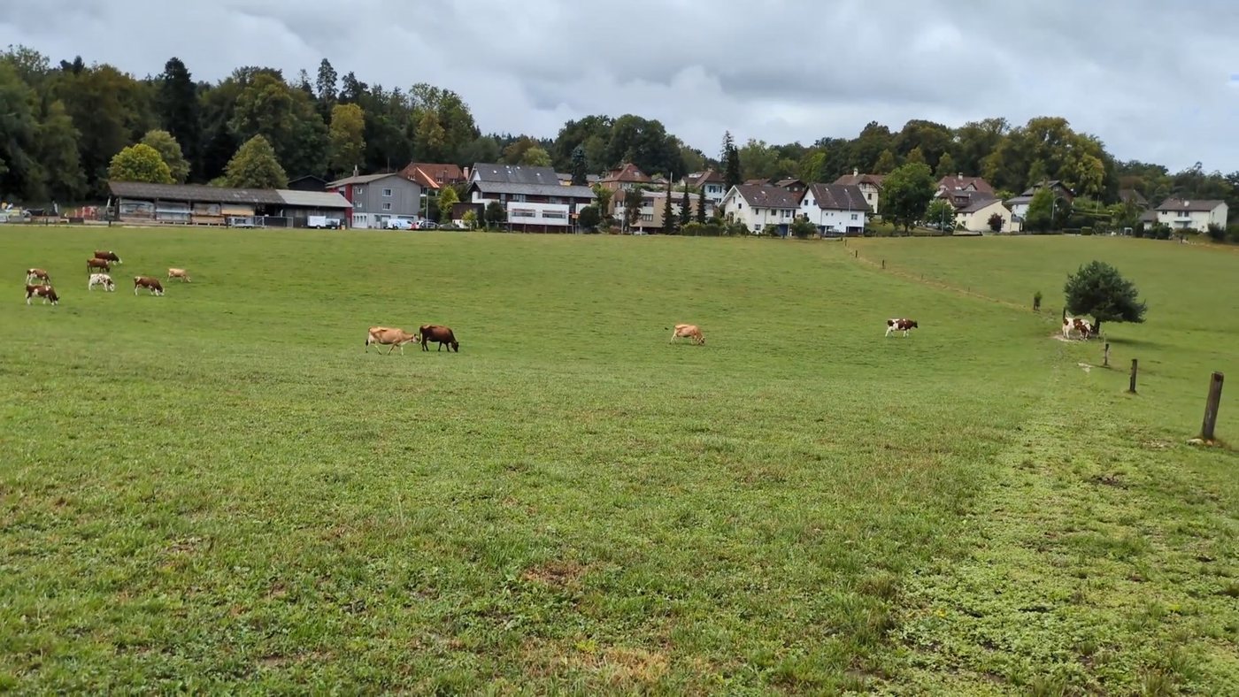 Wiesenzustand im Berner Mittelland